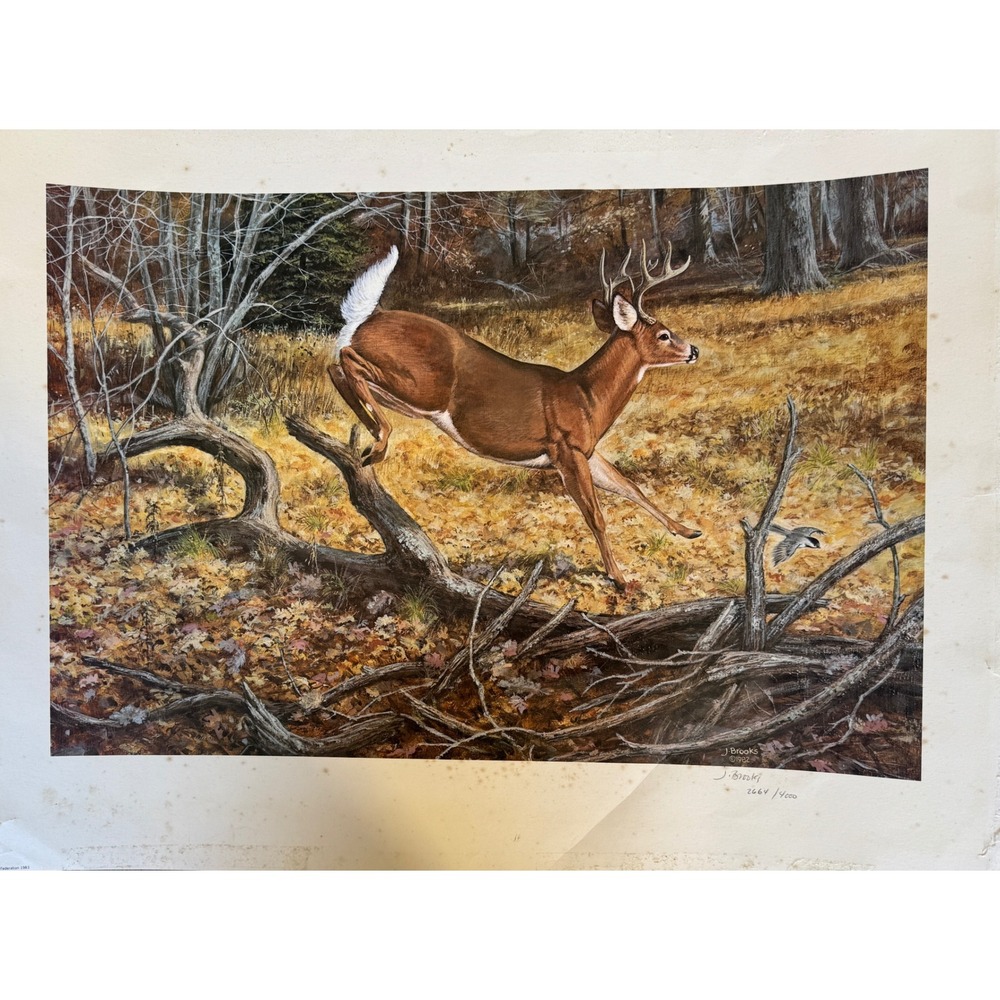 Signed J. Brooks Whitetail Deer Limited Edition Print 2664/4000 Wildlife art